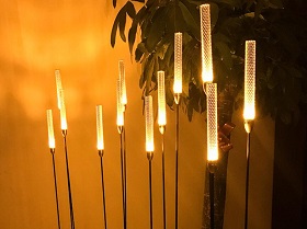 Reed lights