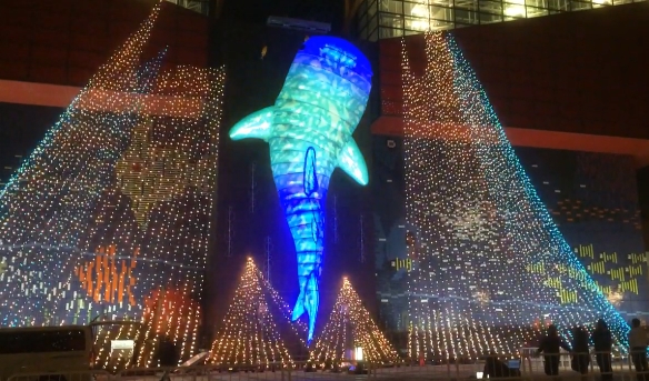led big whale